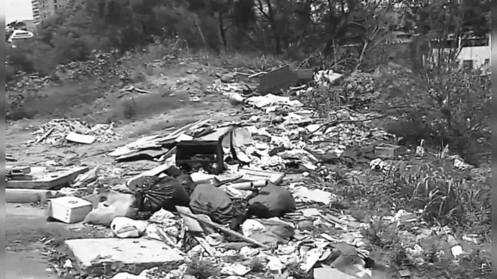 Inshot 20251214 104009061