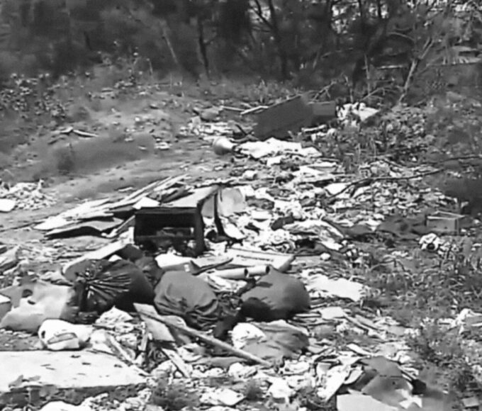 Inshot 20251214 104009061