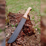 Inshot 20251214 135915260