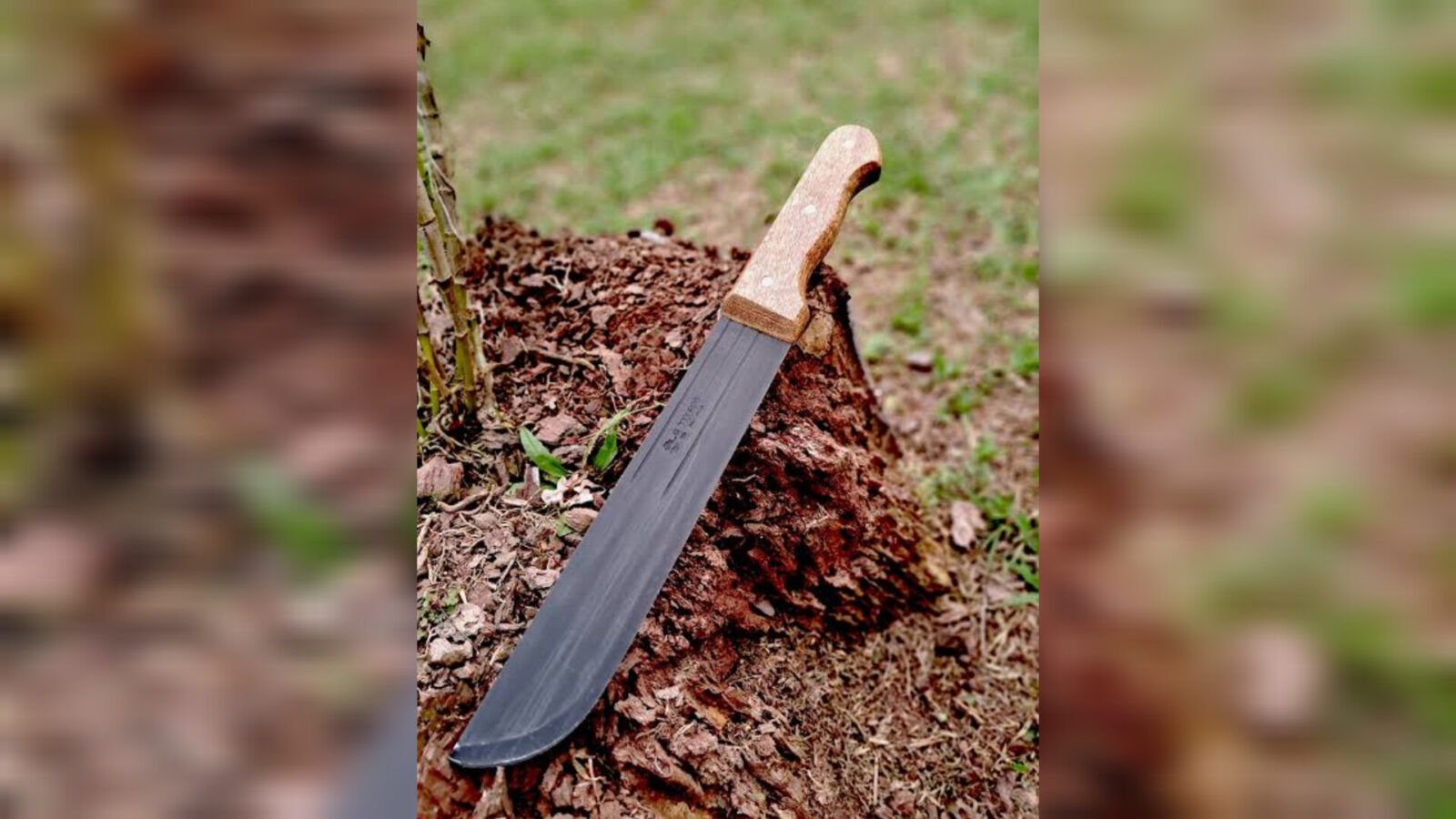 Inshot 20251214 135915260