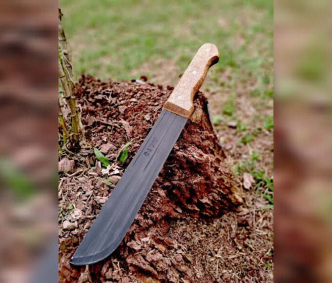 Inshot 20251214 135915260