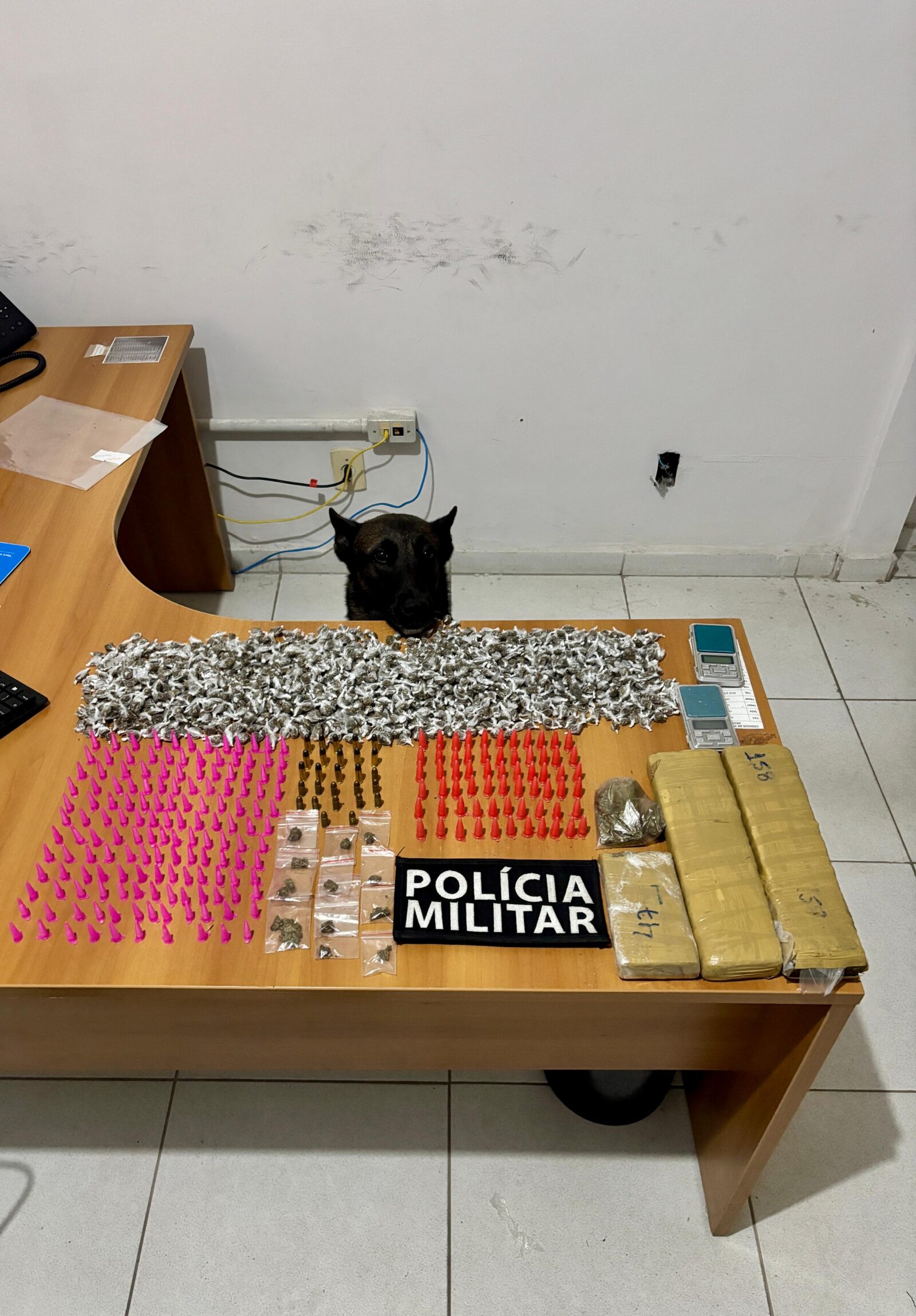 Whatsapp20image202025 12 1120at2009.00.07.jpeg