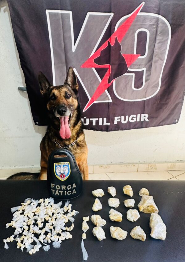 Whatsapp20image202025 12 1820at2012.47.48.jpeg