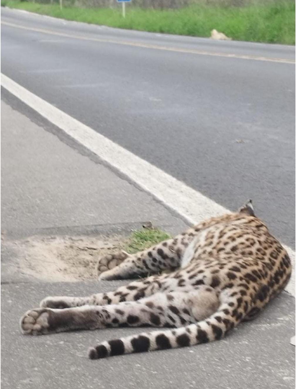 Espiritosantonoticia ba1da13df25348cfb81cf1b39dbab0bc