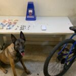 9bb260e3 571f 4c4e 9daf d02ce603a102.jpg