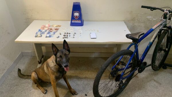 9bb260e3 571f 4c4e 9daf d02ce603a102.jpg