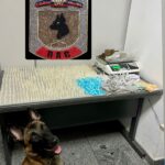 Colt2005.02.26 edit.jpg