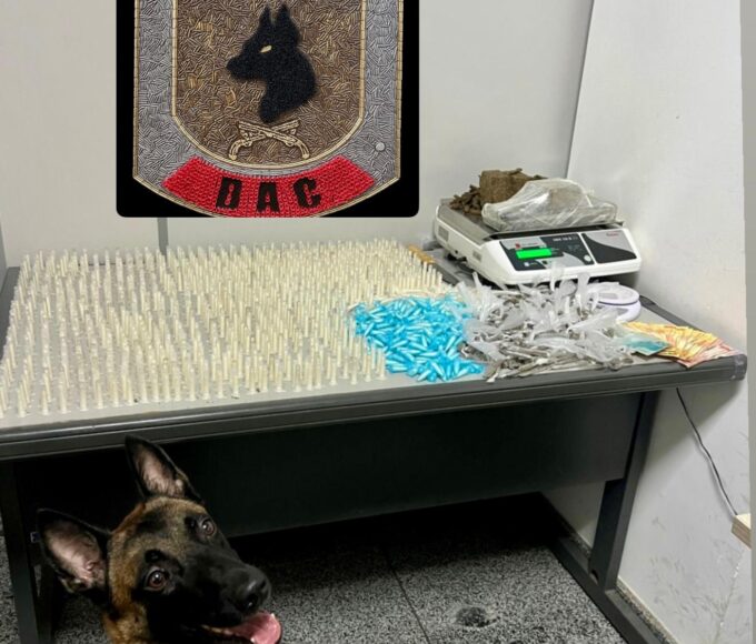 Colt2005.02.26 edit.jpg