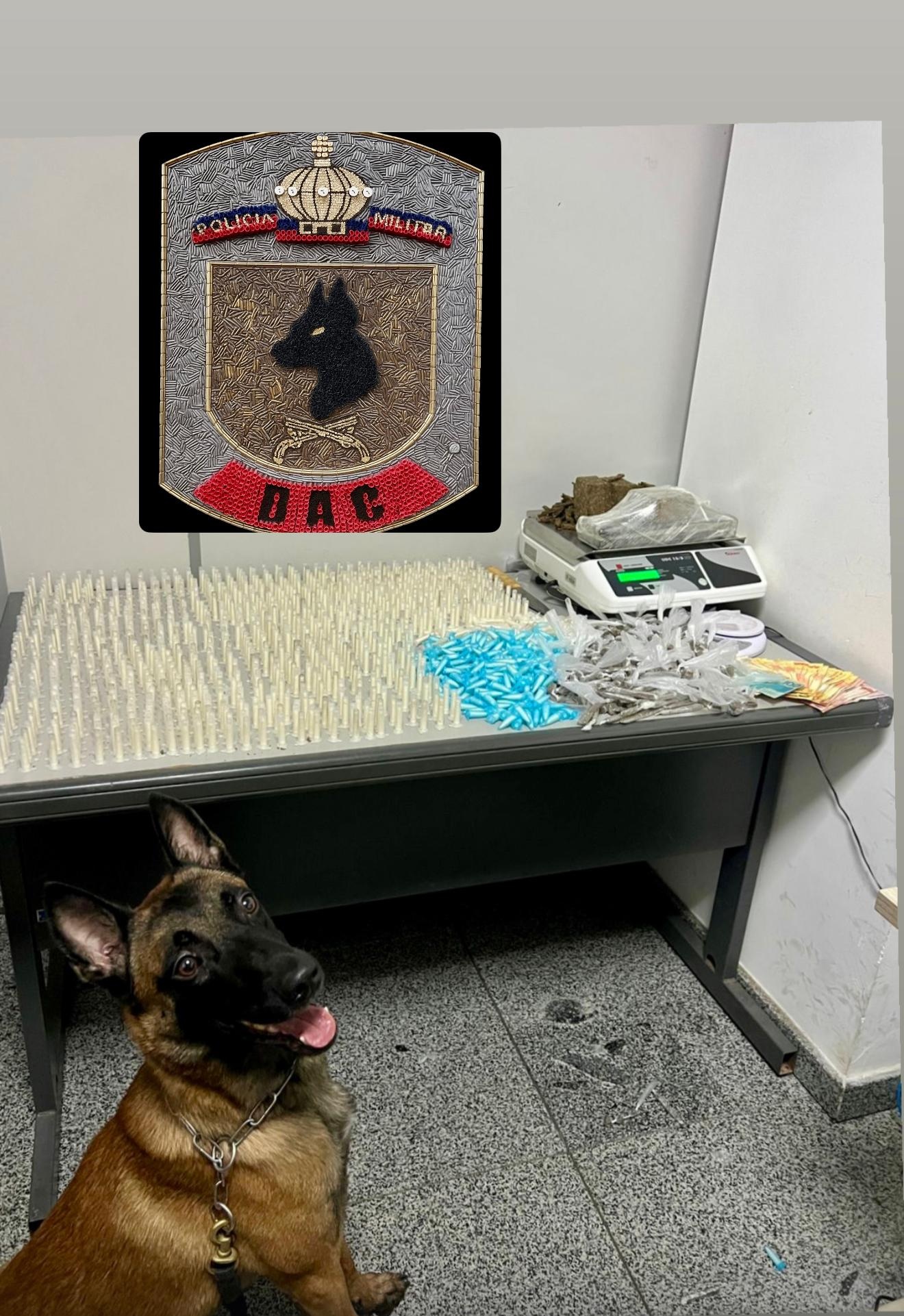 Colt2005.02.26 edit.jpg