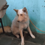 Captura20de20tela202026 02 0620135430.png