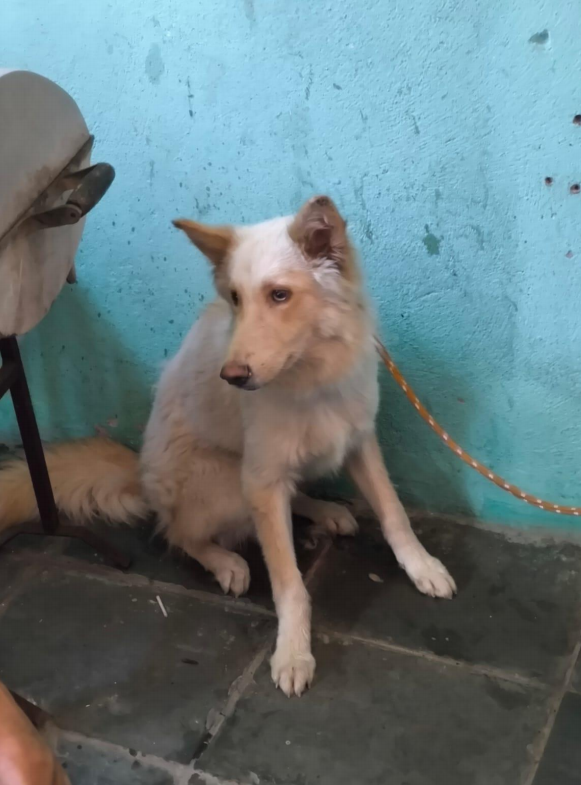 Captura20de20tela202026 02 0620135430.png