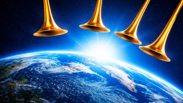 Inshot 20260201 082636315