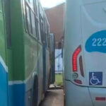 Inshot 20260217 104820449