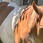 Inshot 20260217 221937626