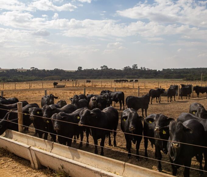 Prévia do PIB aponta crescimento de 2,5% da economia brasileira em 2025