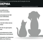 Whatsapp20image202026 02 1020at2014.23.41.jpeg