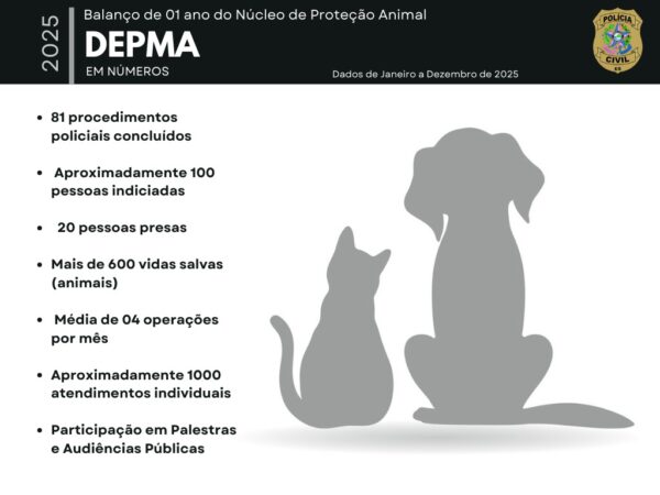 Whatsapp20image202026 02 1020at2014.23.41.jpeg