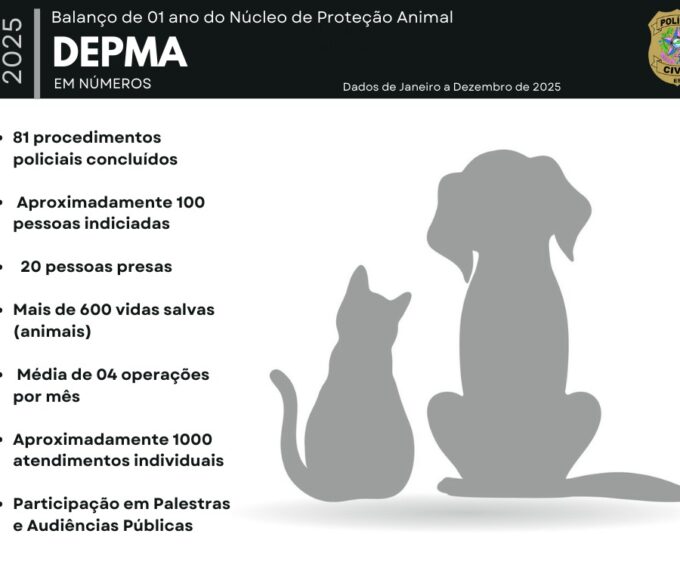 Whatsapp20image202026 02 1020at2014.23.41.jpeg