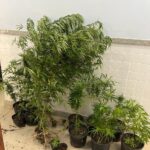 Whatsapp20image202026 02 1220at2014.43.33.jpeg