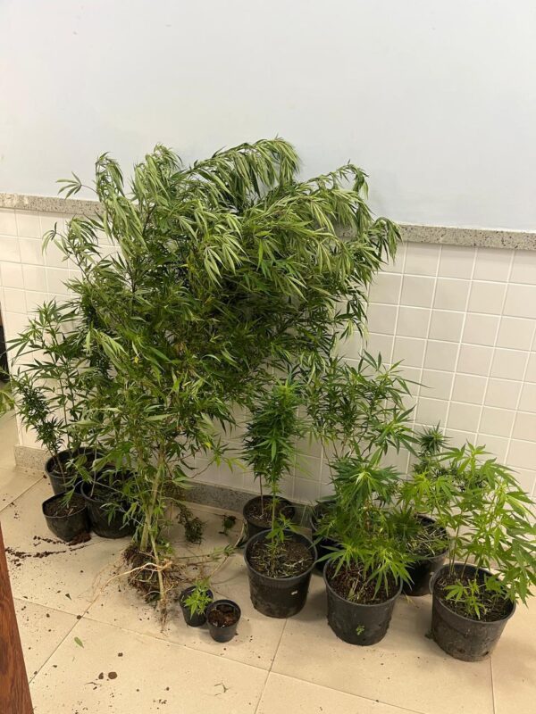 Whatsapp20image202026 02 1220at2014.43.33.jpeg