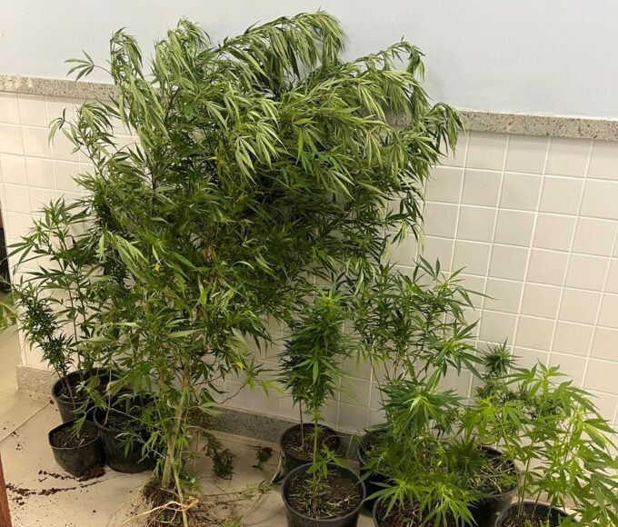 Whatsapp20image202026 02 1220at2014.43.33.jpeg