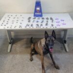 Whatsapp20image202026 02 1920at2010.35.03203.jpeg