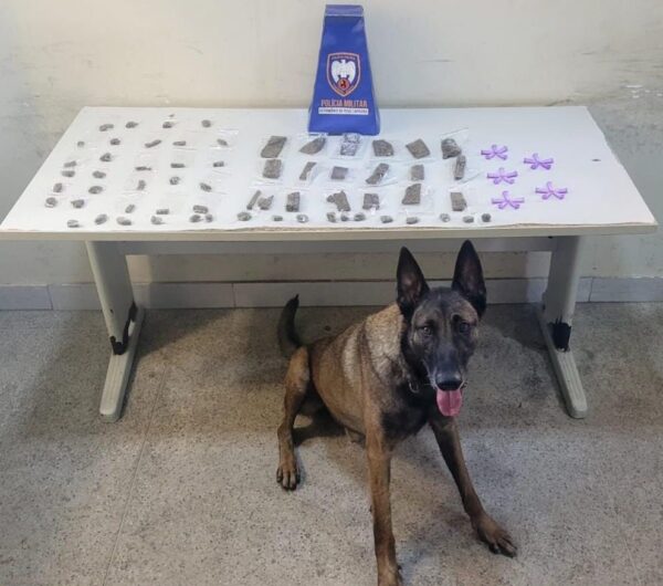 Whatsapp20image202026 02 1920at2010.35.03203.jpeg