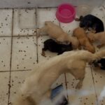 Whatsapp20image202026 02 2320at2015.50.35202.jpeg