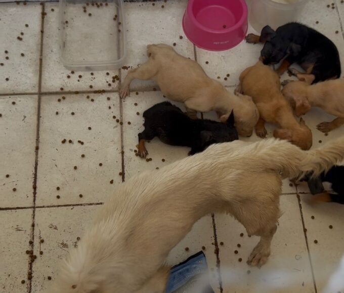 Whatsapp20image202026 02 2320at2015.50.35202.jpeg