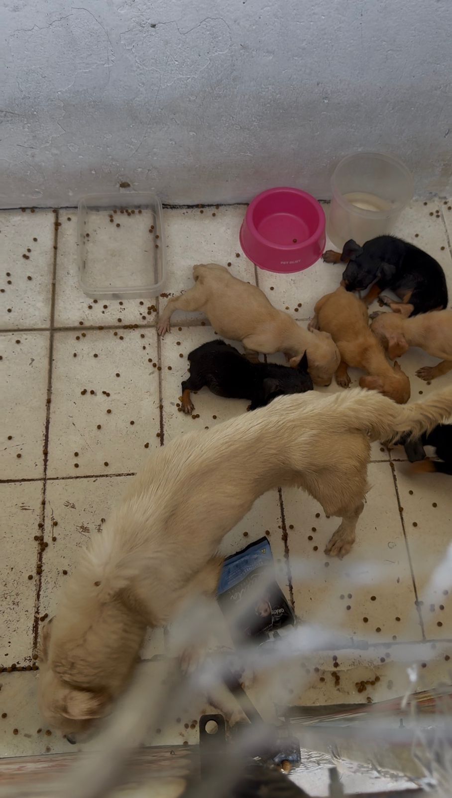 Whatsapp20image202026 02 2320at2015.50.35202.jpeg