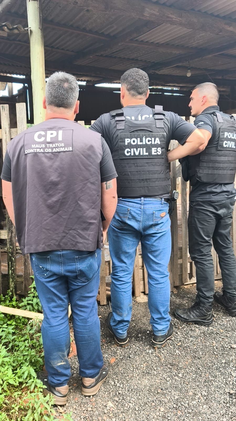 Whatsapp20image202026 02 2420at2016.35.22 2.jpeg