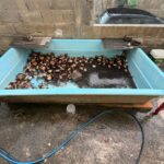 Whatsapp20image202026 02 2520at2015.38.11.jpeg