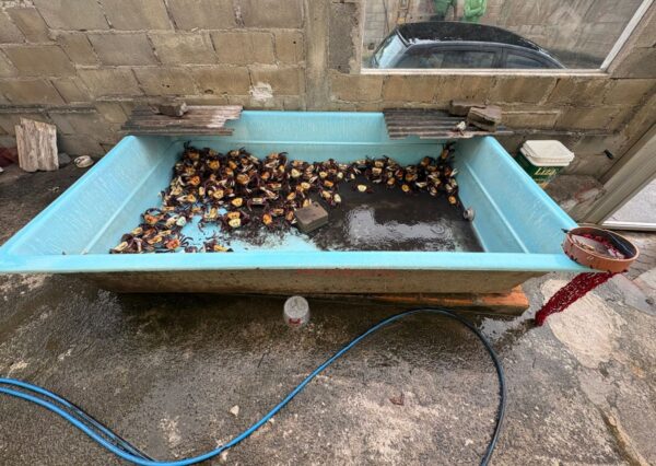 Whatsapp20image202026 02 2520at2015.38.11.jpeg