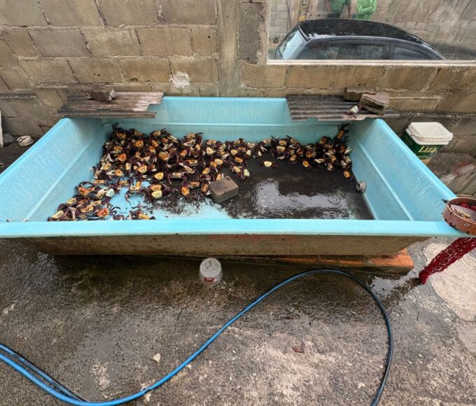 Whatsapp20image202026 02 2520at2015.38.11.jpeg