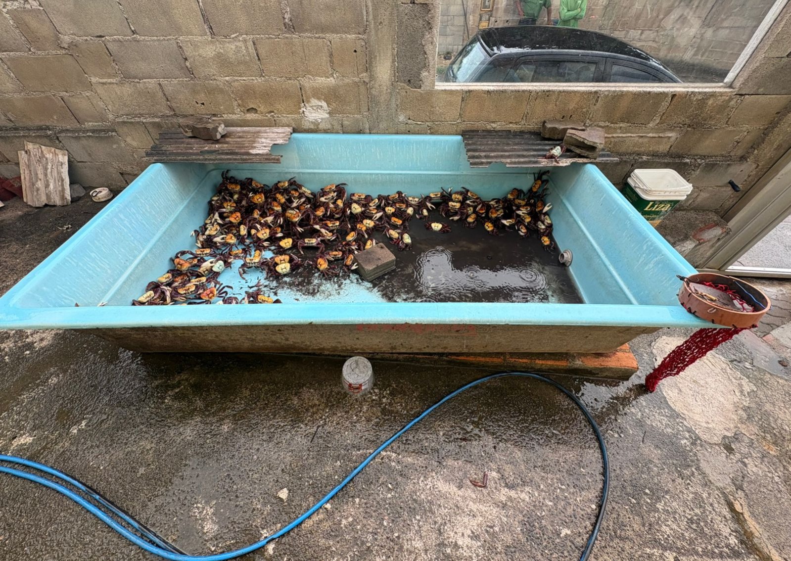 Whatsapp20image202026 02 2520at2015.38.11.jpeg