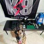 Whatsapp20image202026 02 2620at2009.12.11.jpeg