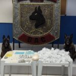 Cab4b07e d632 49b0 b79e ee53f4435f832.jpg