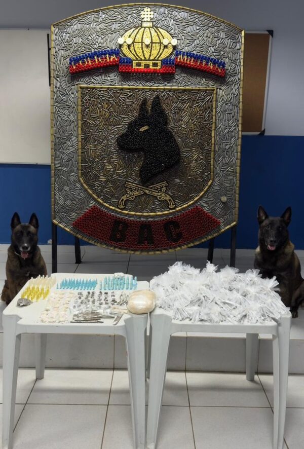 Cab4b07e d632 49b0 b79e ee53f4435f832.jpg