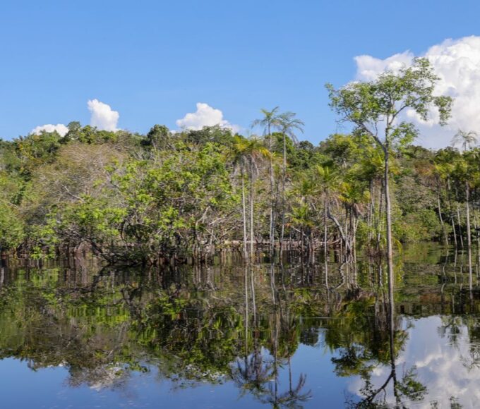 Governo levantou R$ 179 bi desde 2023 para transição ecológica