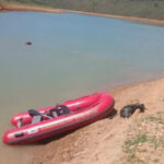 Inshot 20260303 115125459