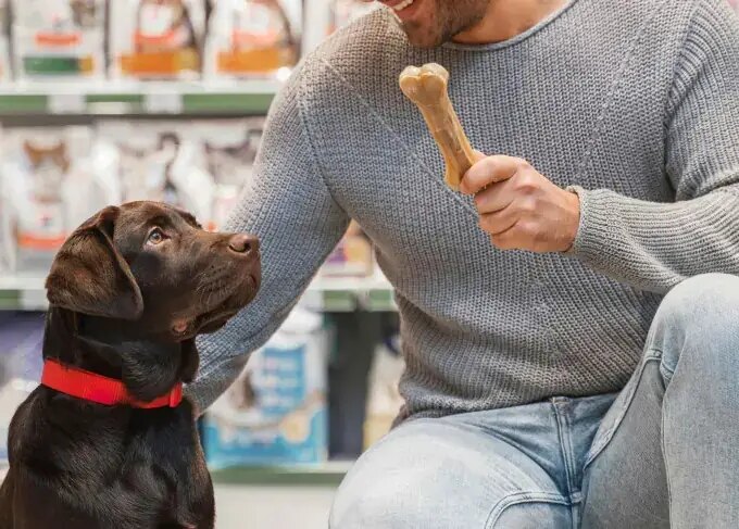 Mercado pet segue em expansão no Espírito Santo