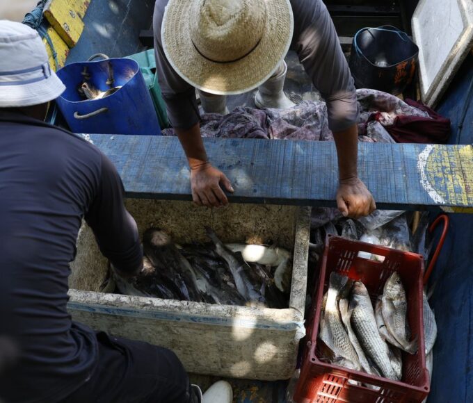 Pescadores beneficiados pelo Seguro-Defeso recebem 6º lote nesta terça