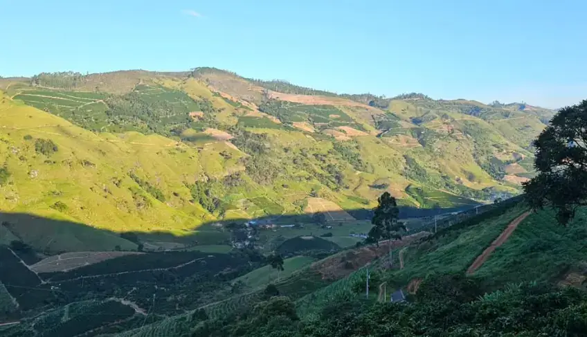 Rota Cafés de Muniz Freire valoriza produtores e transforma tradição cafeeira em experiência turística