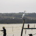 Sexto lote do seguro-defeso será disponibilizado na terça-feira