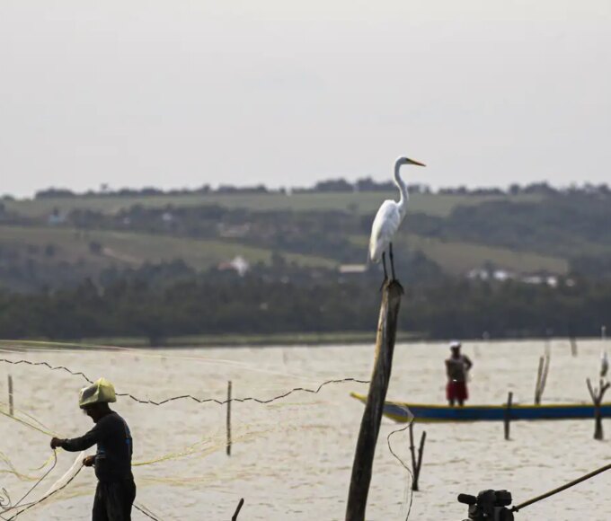 Sexto lote do seguro-defeso será disponibilizado na terça-feira