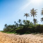 Turismo vive momento histórico: número de empresas do setor cresce mais de 25% no estado