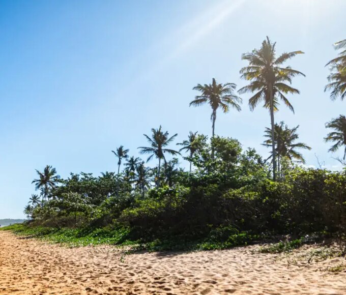 Turismo vive momento histórico: número de empresas do setor cresce mais de 25% no estado