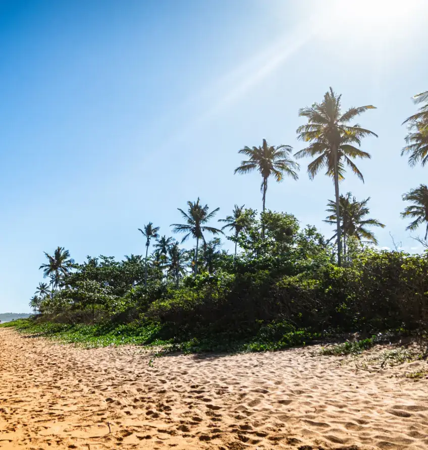 Turismo vive momento histórico: número de empresas do setor cresce mais de 25% no estado