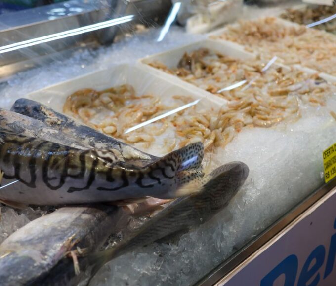 Vigilância Sanitária orienta sobre compra de pescado na Semana Santa