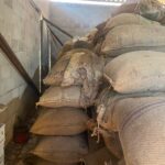 Whatsapp20image202026 03 1920at2017.03.59.jpeg